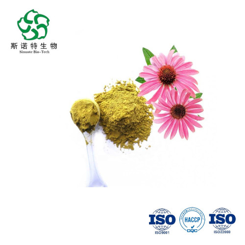 China Solvent Extraction Food Grade Echinacea Extract Factory