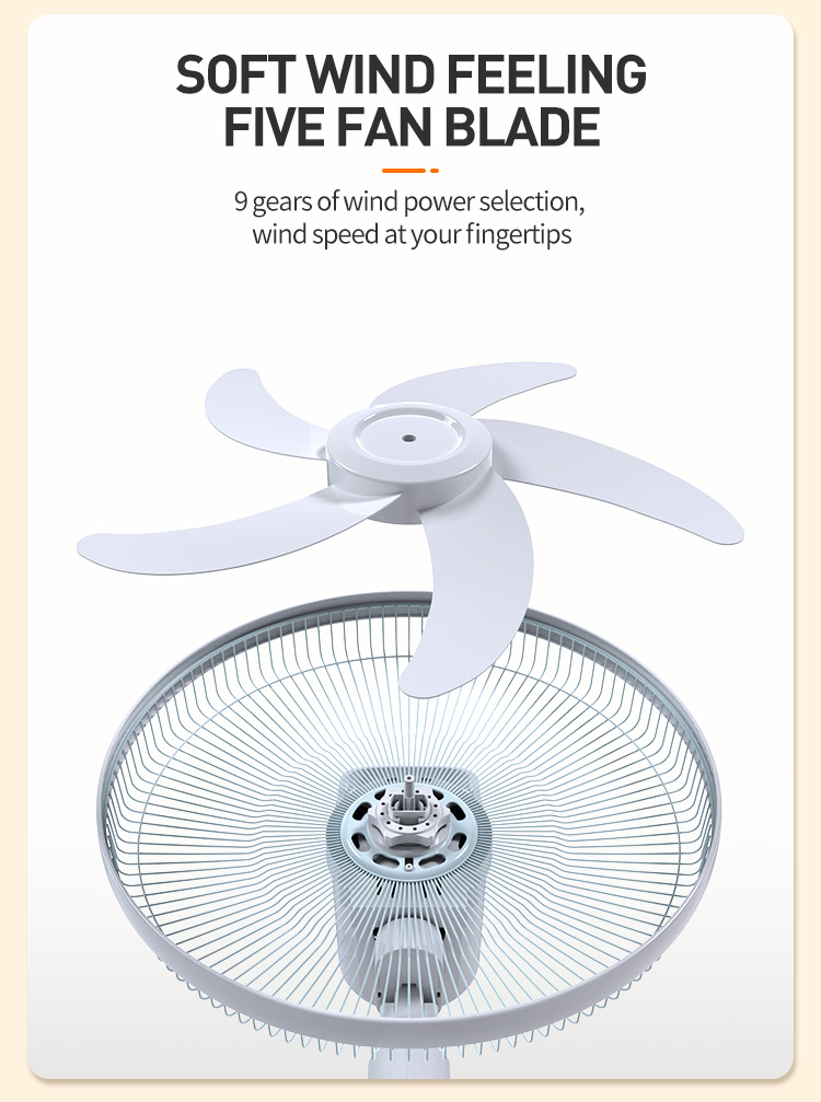 Oscillating Pedestal Fan