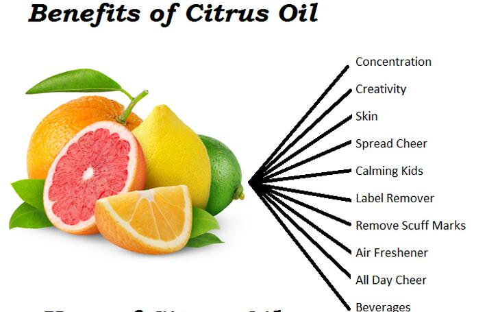 OEM factory pure Citrus oil essential oil