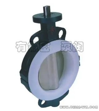 Half Bore Telfon Lined  Wafer Butterfly Valve Suppliers
