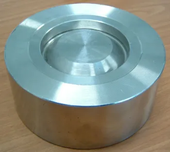 stainless steel check valve