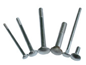 Carriage Bolts