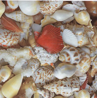 top quality pvc 3D wall decoration panel