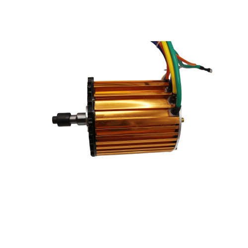 Бесстраночный мотор для премиум -класса для электрических трехколесных велосипедов 48 В 1500 Вт