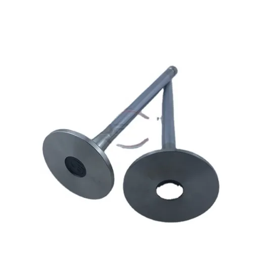 4BT, 6BT, and 6D102 Diesel Engine Valve Replacement Parts: 4995554, 4994143, 3901117, 3920867, 3920868, 3901607, 3901608