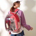 PET Cat Travel Carrier