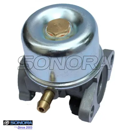 Carburetor Replace for BRIGGS & STRATTON