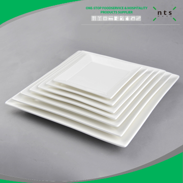 buffet service ceramic tableware porcelain dinner plate