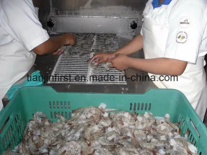 Food Quick Freezing Machine Spiral Freezer Machinery Quick Freezing