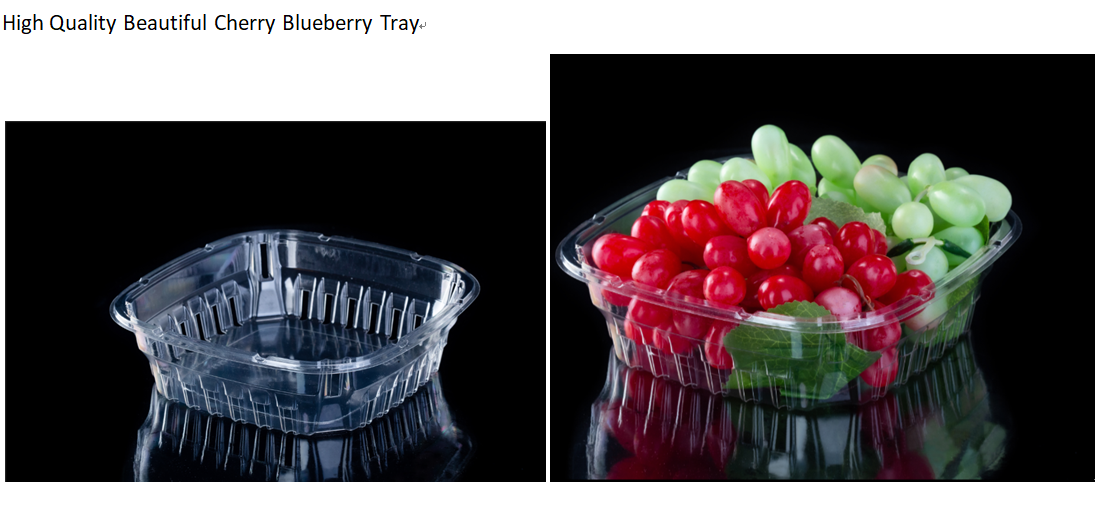  PET Fruit Tray Disposable Fruit Salad Box