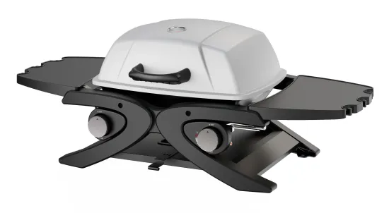 Propane Gas Grill with 2 Burner Camping Grill BBQ with Folding Sides