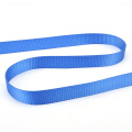 GS CE Certificated Cam Buckle Strap Webbing