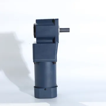 High Torque 250W Right Angle Gearbox Reducer with AC Electric Motor: 110V/220V Single Phase Geared Motor