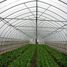Invernadero de semillas de túnel de poli fijo para verduras.