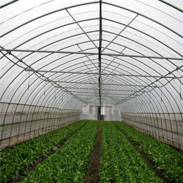 Serre de graines de tunnel poly fixe pour les légumes