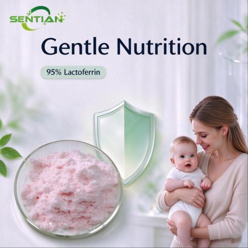 Bovine Lactoferrin Powder 95% for Nutritional and Infant Formula Applications