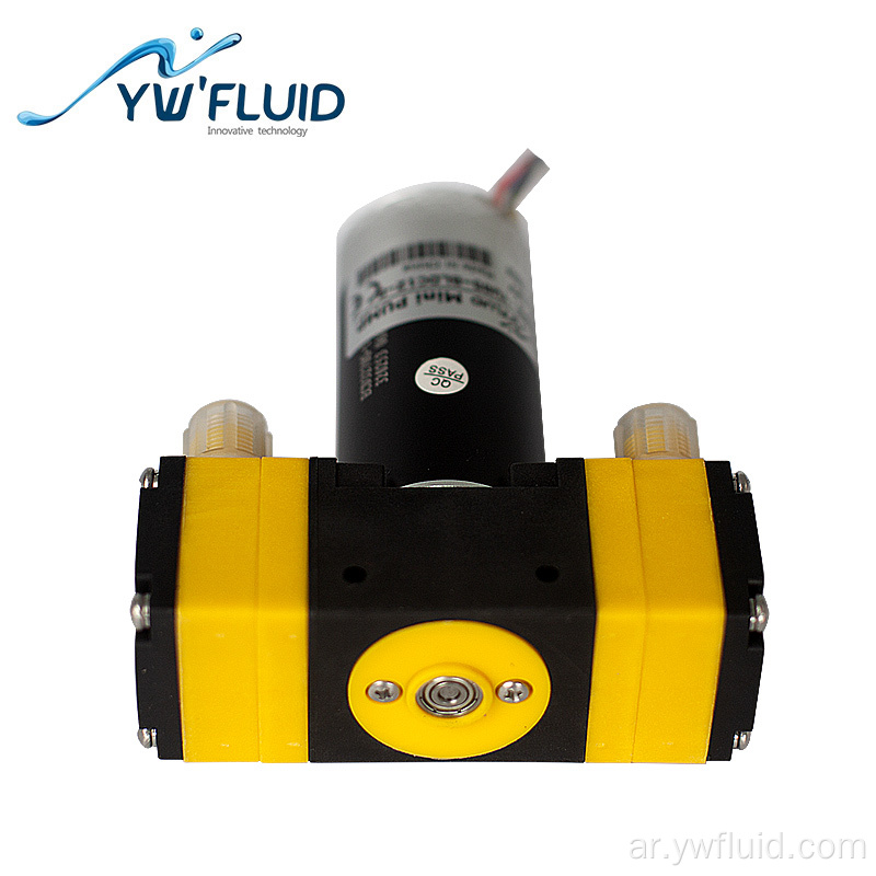 Micro Dual Head BLDC PUMP