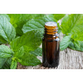 OEM peppermint essential oil