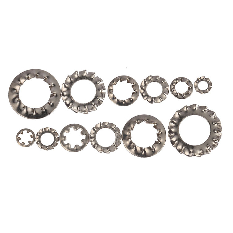 Toothed Lock Washer Toothed Lock Washer