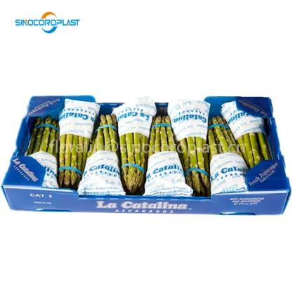 Hydrocooled Asparagus Packaging: 5kg Asparagus in Plastic Box