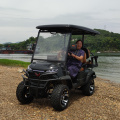 2-seater four-wheel golf cart