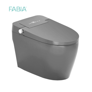 Matt Grey Bathroom Smart Toilet Bowl With Bidet