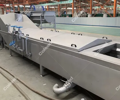 Frozen Vegetables Blanching Machine for salad processing
