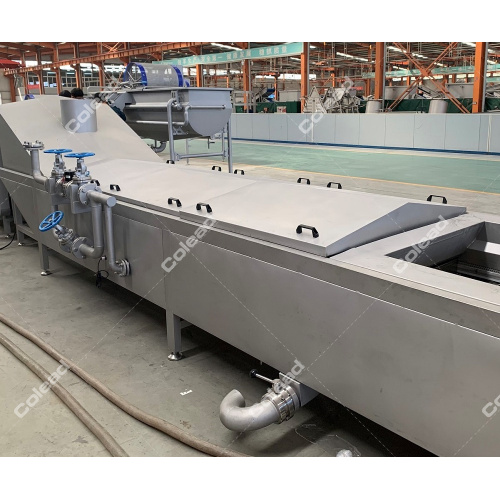 Frozen Vegetables Blanching Machine for salad processing