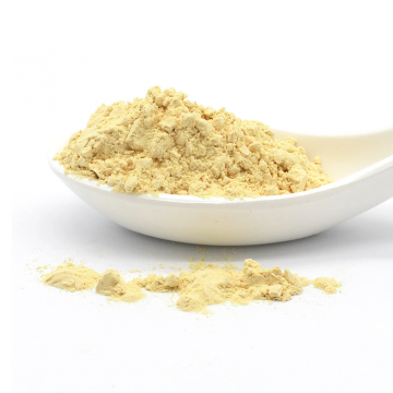 Soy Protein Powder Bulk