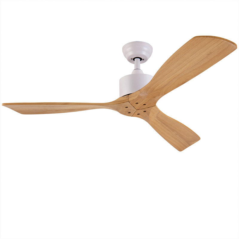 Electric Contemporary Ceiling FansofHunter Ceiling Fans With Lights