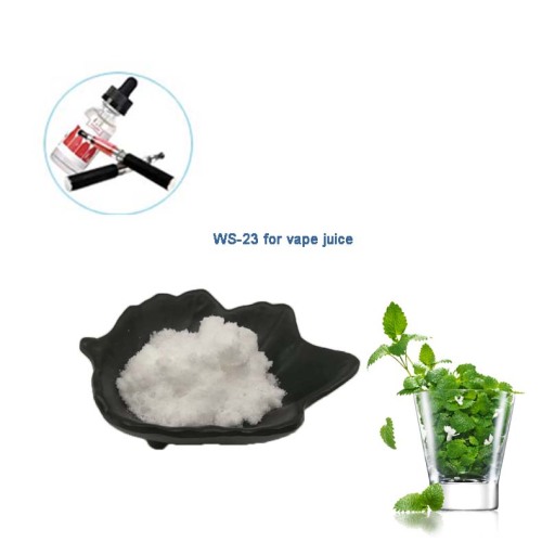 Food Additive ws-23t for vape make e-liquid cool