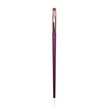 Professional Lip Brush Concealer Brush