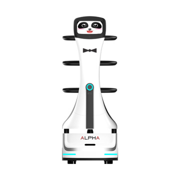 Customized Wenda SC-9-10 Human Robot Cars for Restaurant Delivery in Stock