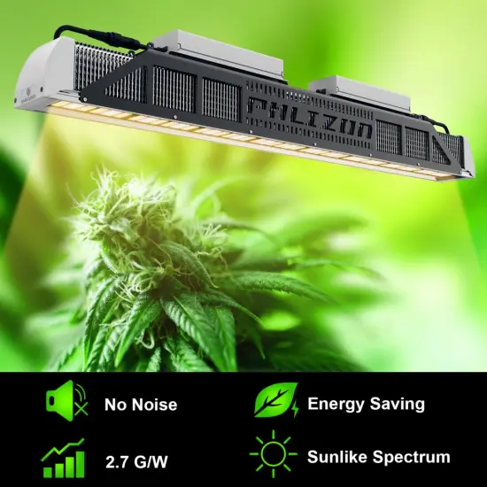 Top Quality Phlizon Grow Light Led for Plant