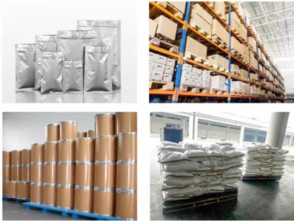 high quality food grade green Papaya concentrated powder