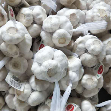 garlic package garlic factory garlic food