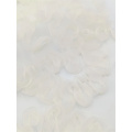 /msite/products/detail/productid/66078821/id/1520813.html
