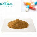 pharmaceutical grade water souble ginger extract