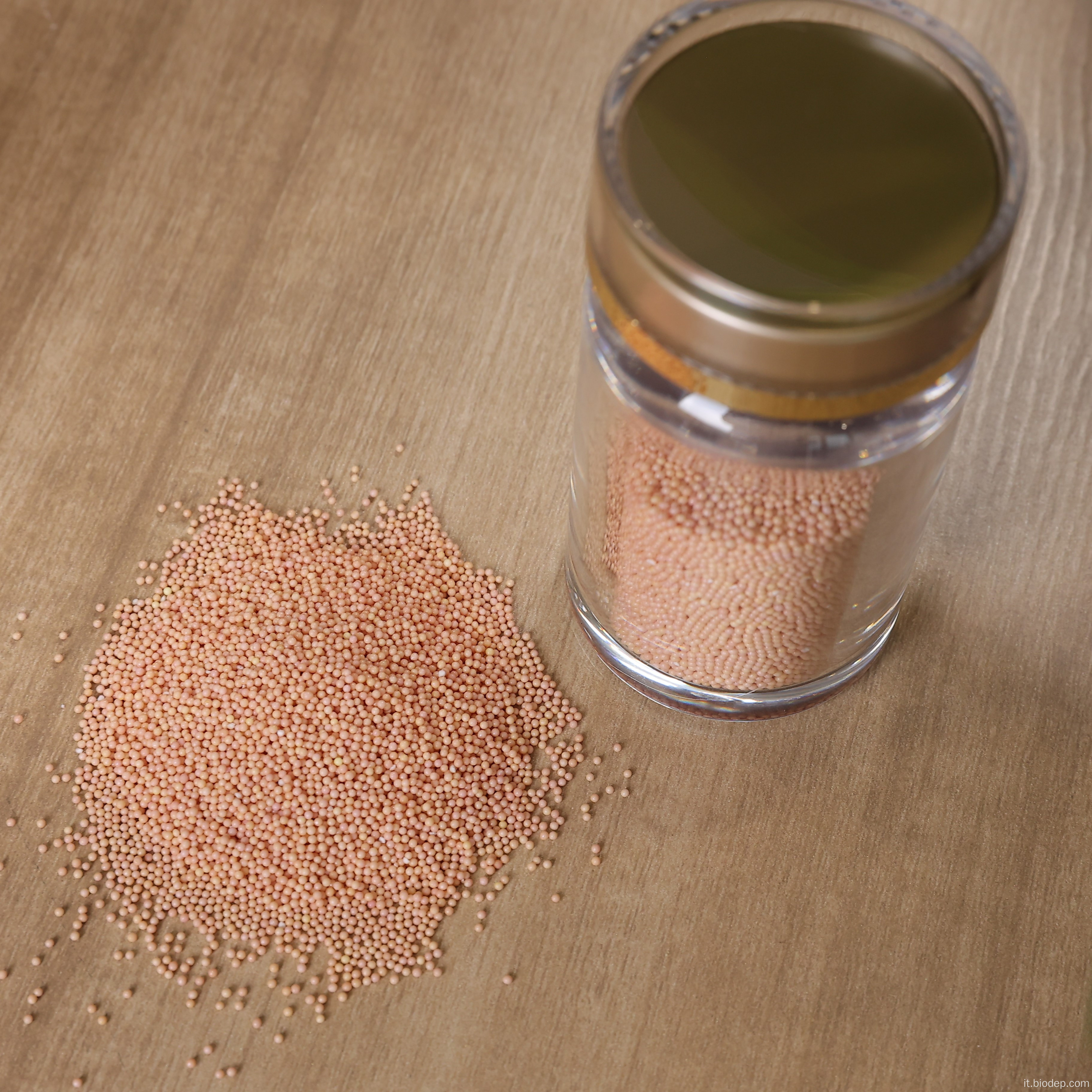 Supplemento di probiotici per la salute granulo lactobacillus casei