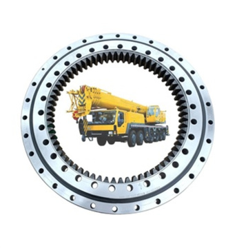 Slewing Bearing and Small Gear Excavator