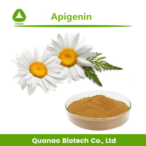 Chamomile Flower Extract Apigenin 98% Chamomile Flower Extract Apigenin 98% Powder Sleep Helping Factory