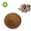 Notoginseng Sanchi Extract Notoginsenoside 80% 80418-24-2