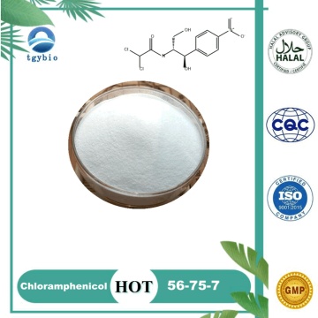 API CAS 56-75-7 cloramfenicolo in polvere