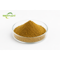 Premium Bitter Melon Extract for Natural Health Support