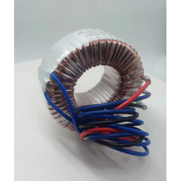 Professional Toroidal Transformer Amplifier