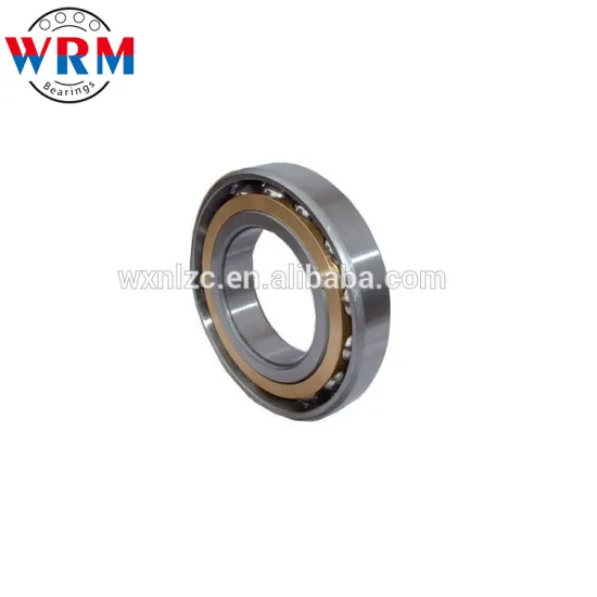 Fine quality single row angular contact bearing 7209 for Hollow blade dryer