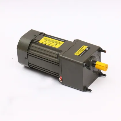 120W AC Gear Motor for Printing machinery