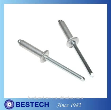 Best Choice Stainless Steel Blind Rivet Pop Rivet Structural Blind Rivet