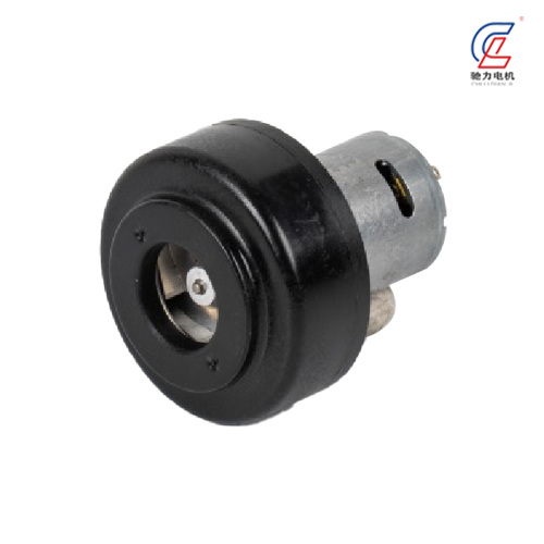 Động cơ điện áp thấp bánh răng mô-men xoắn cao