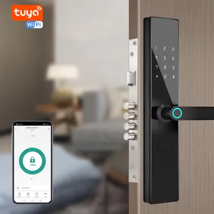 Intelligen Ttlock Electronic Thumbprint Handle Door Lock